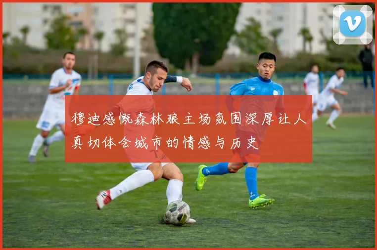 穆迪感慨森林狼主场氛围深厚让人真切体会城市的情感与历史